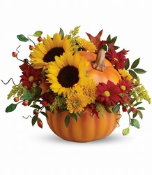 Autumn Joy from Antonina's Floral Design, your florist in Hardy,VA